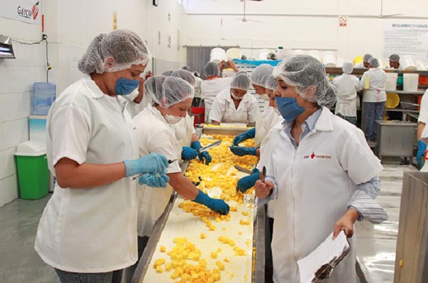 Workers Test Frozen Fruit to Ensure Quality